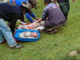 Slachten schaap voor avond eten