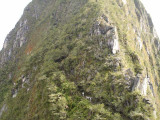 Pad naar Waynu Picchu
