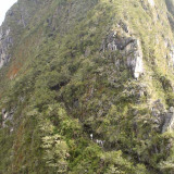 Pad naar Waynu Picchu