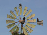 Windmolen bij Hotel Majoro in Nazca