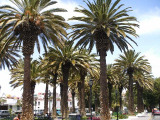 Arequipa