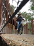 Pijnven: fietsen door de kruinen van de bomen.