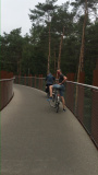 Pijnven: fietsen door de kruinen van de bomen.