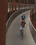 Pijnven: fietsen door de kruinen van de bomen.
