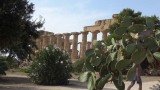 Selinunte tempel E