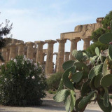 Selinunte tempel E