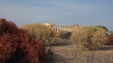 Selinunte tempel E