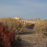 Selinunte tempel E