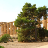 Selinunte tempel E