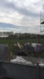 Schapen in de achtertuin